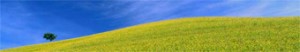 BannerImage BannerImage